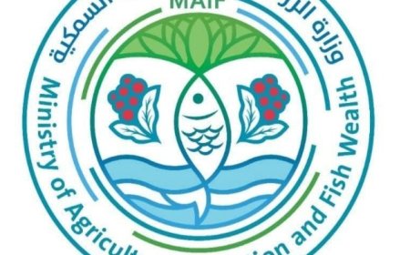 وزارة الزراعة تكذب ما تناقلته وسائل الإعلام بايقاف تصدير البصل..
