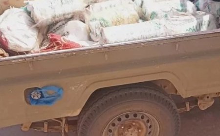 قوات درع الوطن تضبط في ساحل العارة شحنة أسلحة ومتفجرات...