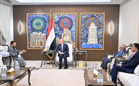 الرئيس العليمي يلتقي رئيس الجهاز المركزي للرقابة والمحاسبة