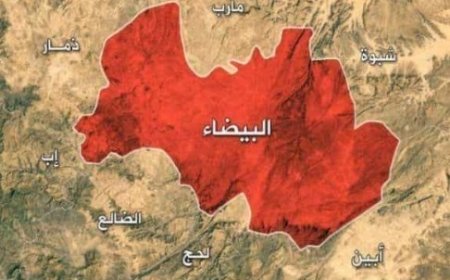 فتحي ابو النصر  :  محافظة البيضاء خذلها الجميع !!..