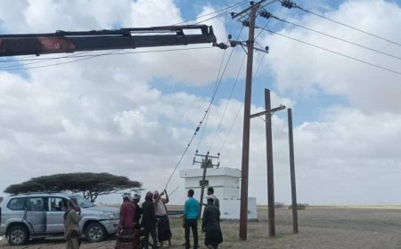 أعمال صيانة وتأهيل خطوط الشبكة الكهربائية المغذية لحقل بئر أحمد بعدن