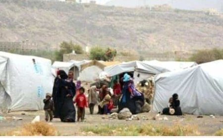 في احصائية جديدة منظمة الهجرة الدولية تعلن عن ارقام النازحين في اليمن ..