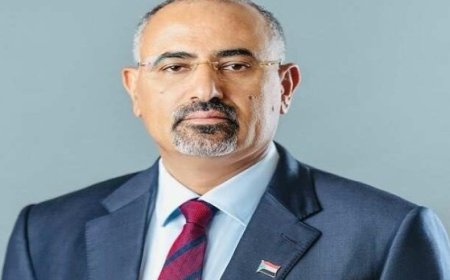 نائب رئيس مجلس القيادة الرئاسي الزُبيدي يشارك في مؤتمر الاتحاد بجنيف في سويسرا ...