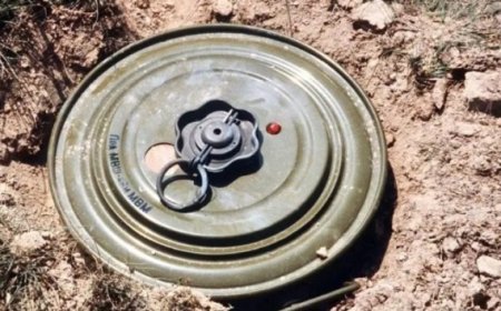 خلال الأسبوع الثالث من شهر يناير الجاري «مسام» ينتزع 732 لغماً في اليمن.....