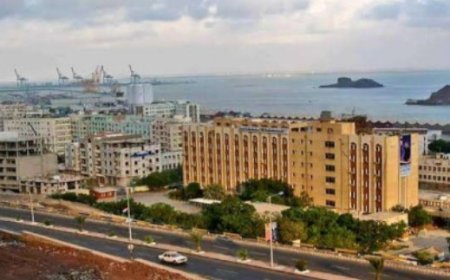 وزارة الدفاع اليمنية تؤكد على أهمية الالتزام بتنفيذ التوجيهات لتطبيق القوانين ..