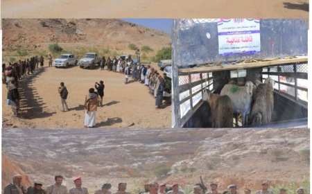 أبناء محافظة البيضاء يسيرون قافلة غذائيّة للأبطال المرابطين في جبهات مأرب..