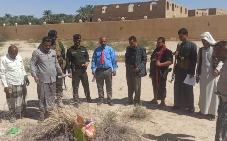 نيابة سيئون تتلف مواد مخدرة من مادة الحشيش والشبو