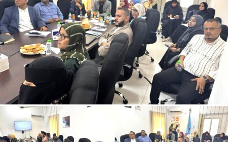 الوكيل الحيدري يترأس الاجتماع الدوري لكلستر الصحة الإنجابية في العاصمة عدن ..