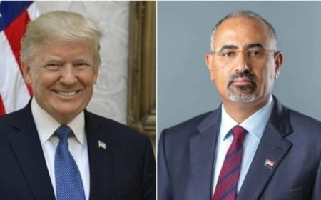 النائب الزُبيدي يعزي الرئيس ترامب في ضحايا حادث تحطم الطائرتين في واشنطن..