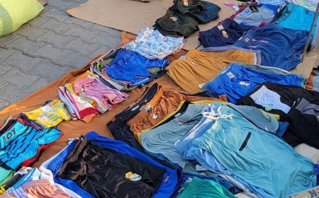 صورة وحدث..كلب يتولى حراسة بضاعة صاحبه في عدن 