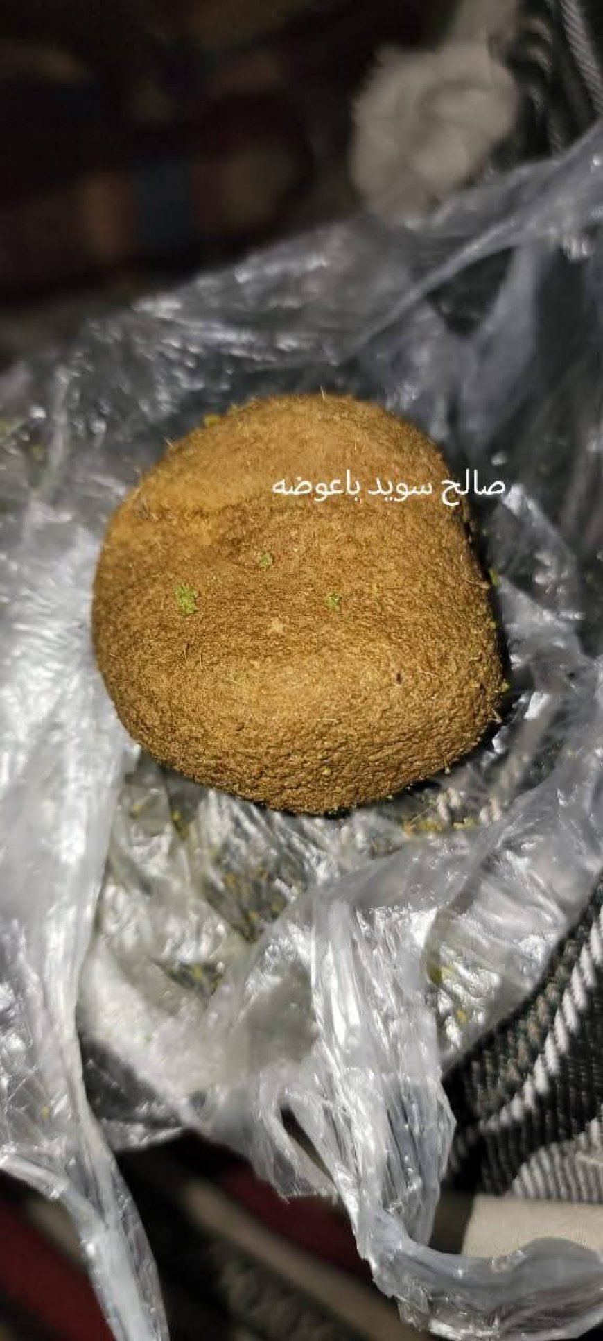 العثور على كنز ثمين داخل بطن خروف في شبوة (صورة)