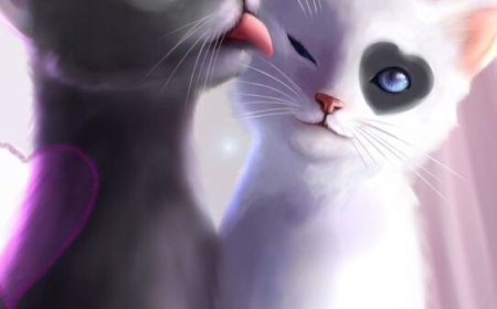 ماچي وقطها السعيد بخبر عودتها