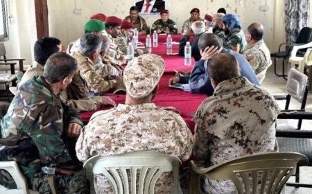 القيادة العسكرية لمحور الضالع العملياتي توجه برفع الجهوزية القتالية إلى أعلى مستوياتها...