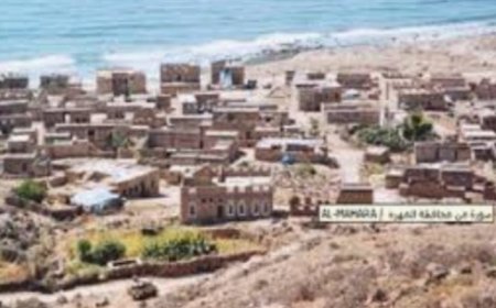 الأجهزة الأمنية في محافظة المهرة تضبط عنصريين حو,,ثيين ...