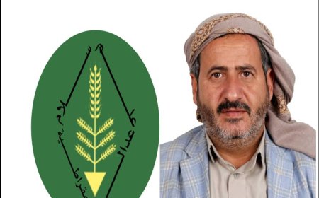 الشيخ الدبا يدعو المجتمع الدولي إلى الوقوف بحزم أمام خطة ترامب لتهجير الفلسطينين