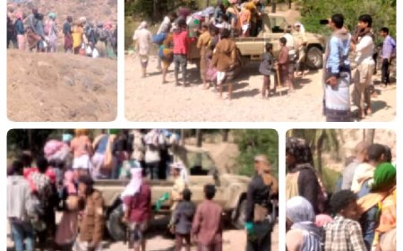 ابناء زريقة الشام يلقون القبض على 31افريقيا حاولوا التسلل إلى السعودية ..