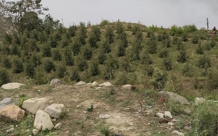 صعدة..هكذا يبدو الجبل المطل على سهول جازان في السعودية