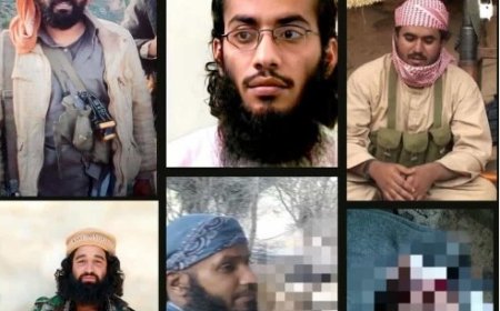 تنظيم القاعدة الارهابي تحت الملاحقة الأمريكية وسقوط قادتهم يتوالى....