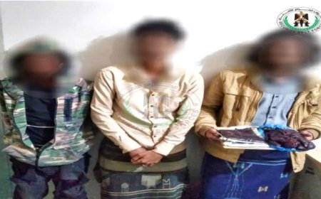 القبض على ثلاثة من مروجي الحشيش في العاصمة عدن ..