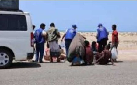 تقرير أممي يرصد وصول 15400 مهاجر أفريقي إلى اليمن خلال يناير الماضي...