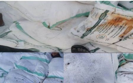 وصول 5000 طن من الدقيق الفاسد الى ميناء  عدن...