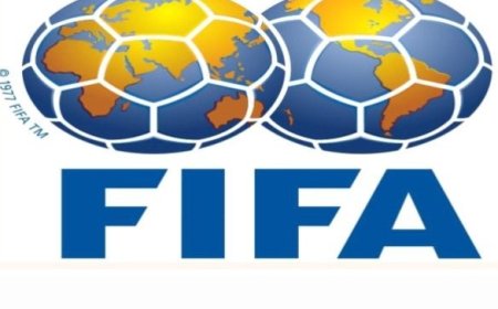 الاتحاد الدولي لكرة القدم (فيفا) يطلق منصة رقمية معلوماتية...