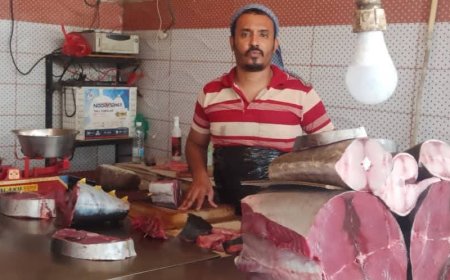 إليكم قائمة أسعار الأسماك الذي يباع في عدن