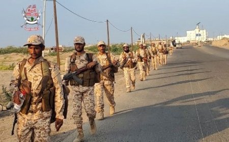 قوات العمالقة الجنوبية تنفِّذ مسيرًا عسكريًّا لتعزيز جاهزية منتسبيها ...