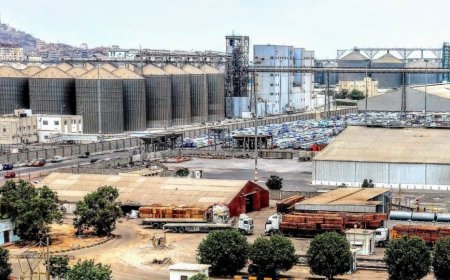 مؤسسة موانئ خليج عدن تنفي وجود نزاعات قضائية مع مجموعة هائل سعيد أنعم...