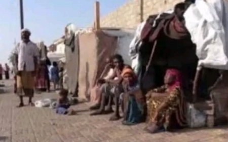 منظمة أممية تؤكد  أن 7محافظات في اليمن سجلت أعلى معدلات انتشار انعدام الأمن الغذائي...