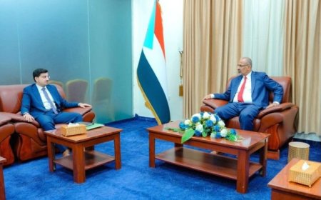 الزُبيدي يطّلع على الأوضاع في محافظة المهرة ..