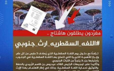 نشطاء جنوبيون يطلقون وسم ..#اللغه_السقطريه_ارث_جنوبي بمناسبه 3مارس..