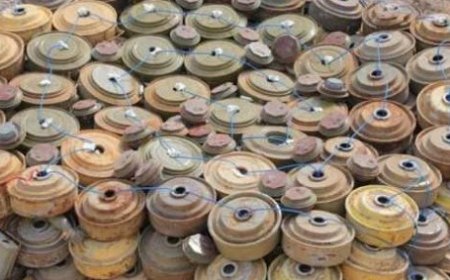 خلال شهر فبراير مشروع مسام يعلن نزع 2,817 لغماً وذخيرة وعبوة ناسفة..