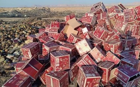 مكتب التجارة بشبوة يتلف 523 كرتونًا من منتج منتهية الصلاحية..