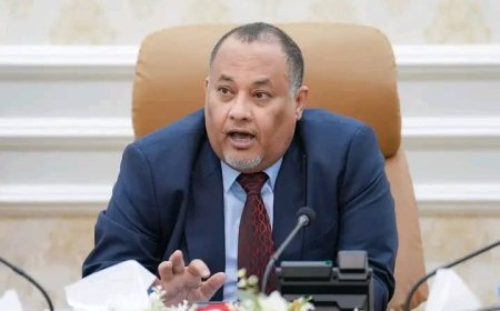 حقيقة تعيين أنيس باحارثة سفيرا في إحدى الدول.. وما الهدف من ذلك؟..