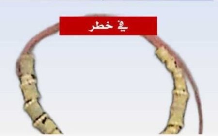 سرقة عقد من الذهب تابع لمملكة حضرموت...
