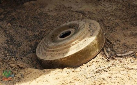 إصابة امرأة في تعز  بانفجار لغم حو,,ثي...