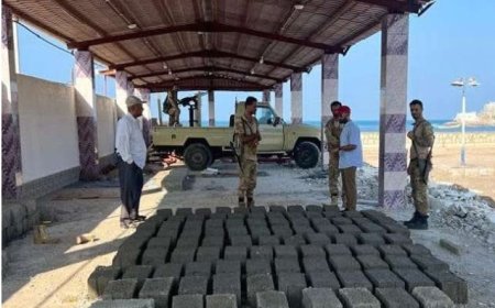 السلطة المحلية في صيرة تضبط طابعة بردين وإيقاف بناء مخالف في مطعم بلدي..