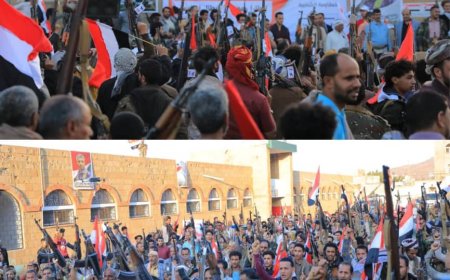 تعز: المقاومة الشعبية في مديرية صالة تعلن جاهزيتها الكاملة للتحرير واستعادة الدولة..