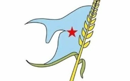 الحزب الاشتراكي اليمني يدين مجزرة غزة ويؤكد: ما يجري إبادة شعب تحت غطاء دولي..