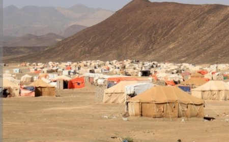 تقرير دولي: ارتفاع عدد النازحين داخليًا في اليمن إلى 5.1 مليون شخص...