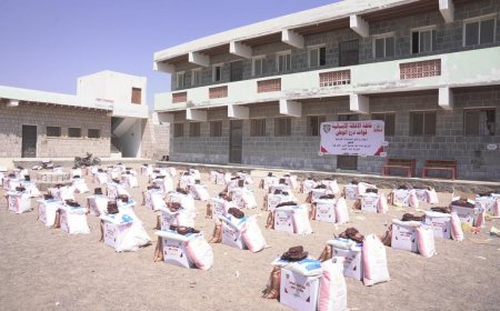 درع الوطن تسير قافلة غذائية إلى باب المندب