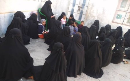 ورشة عمل في لحج حول دور المرأة الجنوبية في أدارة والاستثمار في المشاريع الصغيرة ..