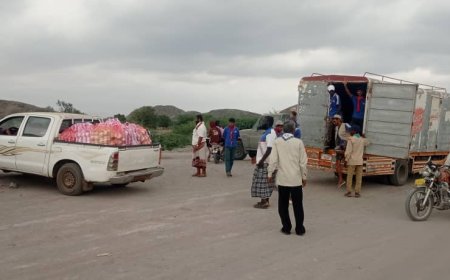 قوات درع الوطن تستهدف قرى الميوح والفيجة وحلمة ومخيم نازحي جول السادة بمديرية خنفر بمحافظة أبين 