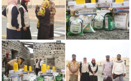 هيئة الإغاثة والاعمال الانسانية بالمجلس الانتقالي الجنوبي تُطلق حملة إنسانية لدعم أهالي جزيرة ميون في عدن