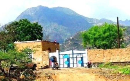 الاجهزة الأمنية في حالمين محافظة لحج تضبط متهما بترويج المخدرات...