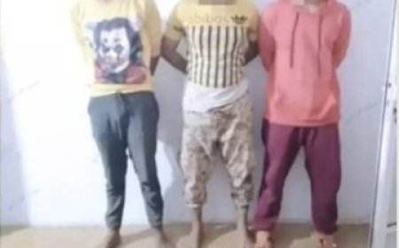 وحدة حماية الأراضي في عدن تضبط عصابة مسلحة للبسط على الأراضي..