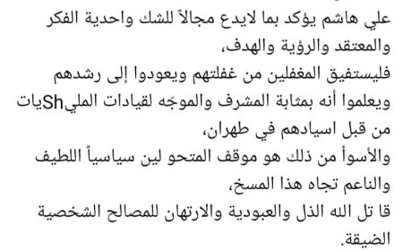 البرلماني معوضه: دفاع الحو,,ثيين عن "علي هاشم" يكشف وحدة الفكر والهدف...