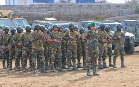 لجنة عسكرية تتفقد ألوية الحماية الرئاسية في العاصمة  عدن...