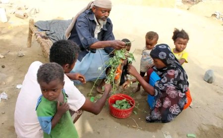 منظمة اممية تؤكد أن الوضع في اليمن بالنسبة للغذاء لايزال يثير القلق ...